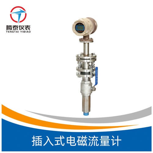 <b>插入式電磁流量計(jì)</b> <b>插入式電磁流量計(jì)</b>