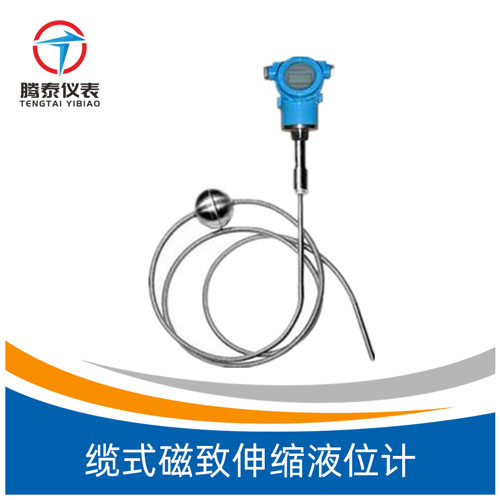<b>纜式磁致伸縮液位計(jì)</b> <b>纜式磁致伸縮液位計(jì)</b>