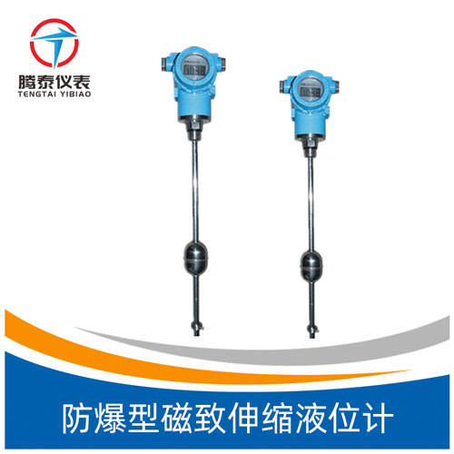 <b>防爆型磁致伸縮液位計(jì)</b> <b>防爆型磁致伸縮液位計(jì)</b>