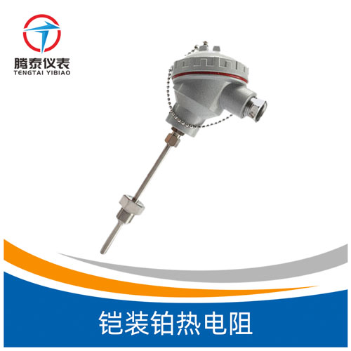 <b>鎧裝鉑熱電阻</b> <b>鎧裝鉑熱電阻</b>
