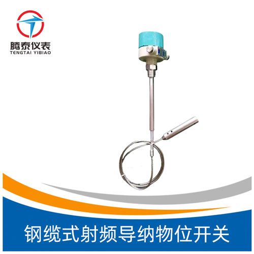 鋼纜式射頻導(dǎo)納物位開關(guān) 鋼纜式射頻導(dǎo)納物位開關(guān)